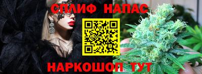 амф Балахна