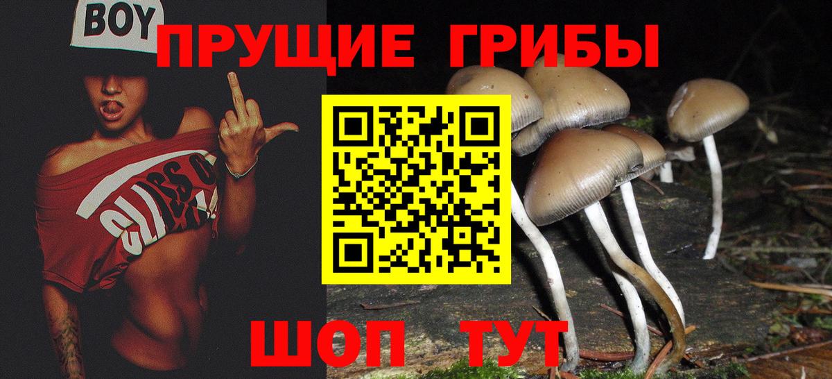 Псилоцибиновые грибы MAGIC MUSHROOMS  закладки  Березники  Вход с VPN 
